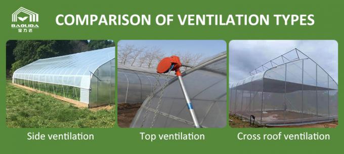 The Importance of Good Ventilation in a Greenhouse