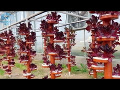 Agriculture Hydroponic System Glass Multi Span Greenhouse 30 X 100