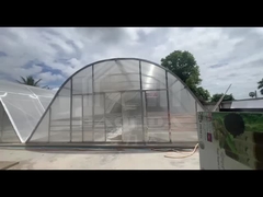 dryer greenhouse
