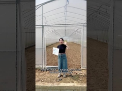 Plastic Film Greenhouse
