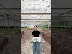 Ready to elevate your farming game?