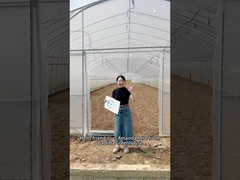 Looking to boost your crop yield with a cost-effective solution?