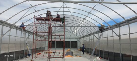 Quality  Automated Light Deprivation Greenhouse with 8mm Twin-Wall PC Board and Hot-Dip Galvanized Steel Frame Controlled by Smart PLC System factory