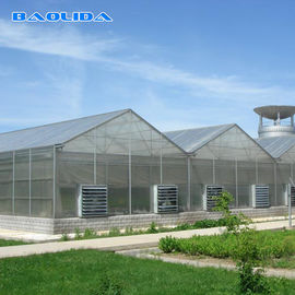 Quality  Commercial Polycarbonate Sheet Greenhouse / PC Sheet Greenhouse Customized Material factory