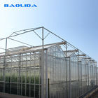 Commercial Multi Span Greenhouse Venlo Type Glass Covered Agricultural