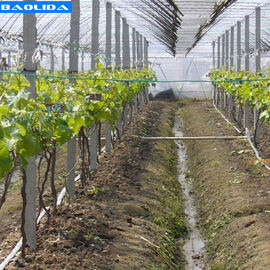 Quality  Small Greenhouse Irrigation System / Greenhouse Auto Watering System factory