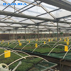 Galvanized Greenhouse Rolling Benches / Greenhouse Benches And Tables