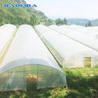 Strong Tunnel Plastic Film Greenhouse Polyethylene Covering With Irrigation System
