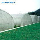 Vegetable Single Span Greenhouse Polycarbonate Sheet Covering