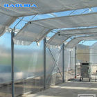 Multi Span Fabric Automated Blackout Greenhouse / Light Deprivation System