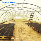 Vegetable Growth Plastic Film Greenhouse All Season Growing Agricultural