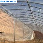 Double Arches Tunnel Plastic Greenhouse Strong Structure Cold Area Support