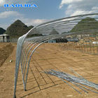 Double Arches Tunnel Plastic Greenhouse Strong Structure Cold Area Support