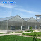 Multi Span PC Sheet Greenhouse Polycarbonate Covering Plant Growth Support