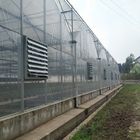 Large Size Multi Span Greenhouse With Electric Outside Shading System