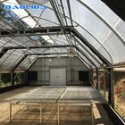 Commercial Automated Blackout Greenhouse Poly Tunnel Light Deprivation