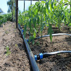 Greenhouse Drip Irrigation System / Overhead Sprinkler System For Greenhouse