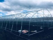 Indoor Outdoor Greenhouse Tent Small / vegetable Grow Tent Easy Installed