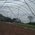 Agricultural Plastic Film Covering Single Span Flower Tunnel Greenhouse