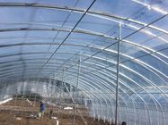 Agricultural Plastic Film Covering Single Span Flower Tunnel Greenhouse