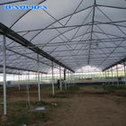 Double Layer Inflatable Multi Span Greenhouse For Commercial Vegetable