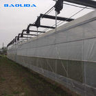 Prefabricated Tomato 200 Micron Greenhouse Plastic Film Tunnel Covering