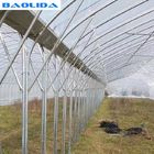 Fan And Pad Greenhouse Cooling System Increase Air Cycle Easy Installed