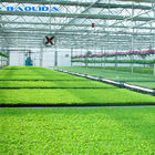Plant Nursery Polyethylene Film Greenhouse Kit / Farm Tech Greenhouses