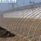 Tunnel Plastic Film Greenhouse / Vegetable Greenhouse Climate Control Economical