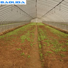 Farming Rigger Greenhouse Drip Irrigation System