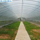 Strong Packing Polytunnel Greenhouse Hobby Commercial Agricultural Support