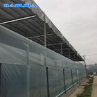 Clear Multi Span Greenhouse Hot Dip Galvanized Pipe Size Customized