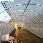 Plastic Covering Polyethylene Film Greenhouse / Single Span Tunnel Flower Power Greenhouse