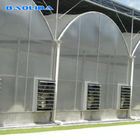Beautiful Polycarbonate Film Greenhouse Plastic With Dome Roof Customized