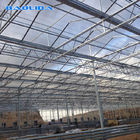 Beautiful Polycarbonate Film Greenhouse Plastic With Dome Roof Customized
