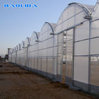 Plastic Shed Multi Span Greenhouse / Multi Span  Agricultural Polytunnel Greenhouse