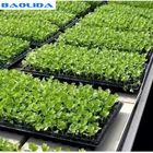 Agricultural Equipment Greenhouse Bench Systems for Seedling Nursery