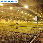 Agricultural Equipment Greenhouse Bench Systems for Seedling Nursery