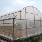 Poly Tunnel Single Span Greenhouse