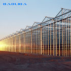 Multi Span Glass Venlo Type Greenhouse 140mm/H Capacity ISO9001 Certificated