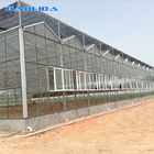 Multi Span Glass Venlo Type Greenhouse 140mm/H Capacity ISO9001 Certificated