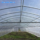 Durable Steel Structure UV PE Film Tunnel Tropical Greenhouses