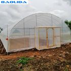 4 Mil Tunnel Plastic Greenhouse Cover Reinforced Clear Poly Sheeting
