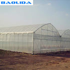 Large Steel Frame High Tunnel Double Film Double Arch 4.5m Multi Span Greenhouse