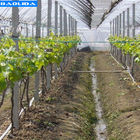 Warehouses 16mm Greenhouse Irrigation Drip Tape System