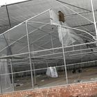 Film Covering Agricultural Planting 9.6M Multi Span Greenhouse