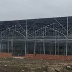 Film Covering Agricultural Planting 9.6M Multi Span Greenhouse