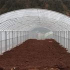 Double Film Double Arches Greenhouse Vegetable Growing 2.8m Tunnel Plastic Greenhouse