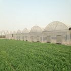 Wind Resistance Sides Ventilation 12m Multi Span Greenhouse