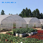 Clear 4m Greenhouse Tunnel Plastic Plastic Film For Vegetables And Flowers